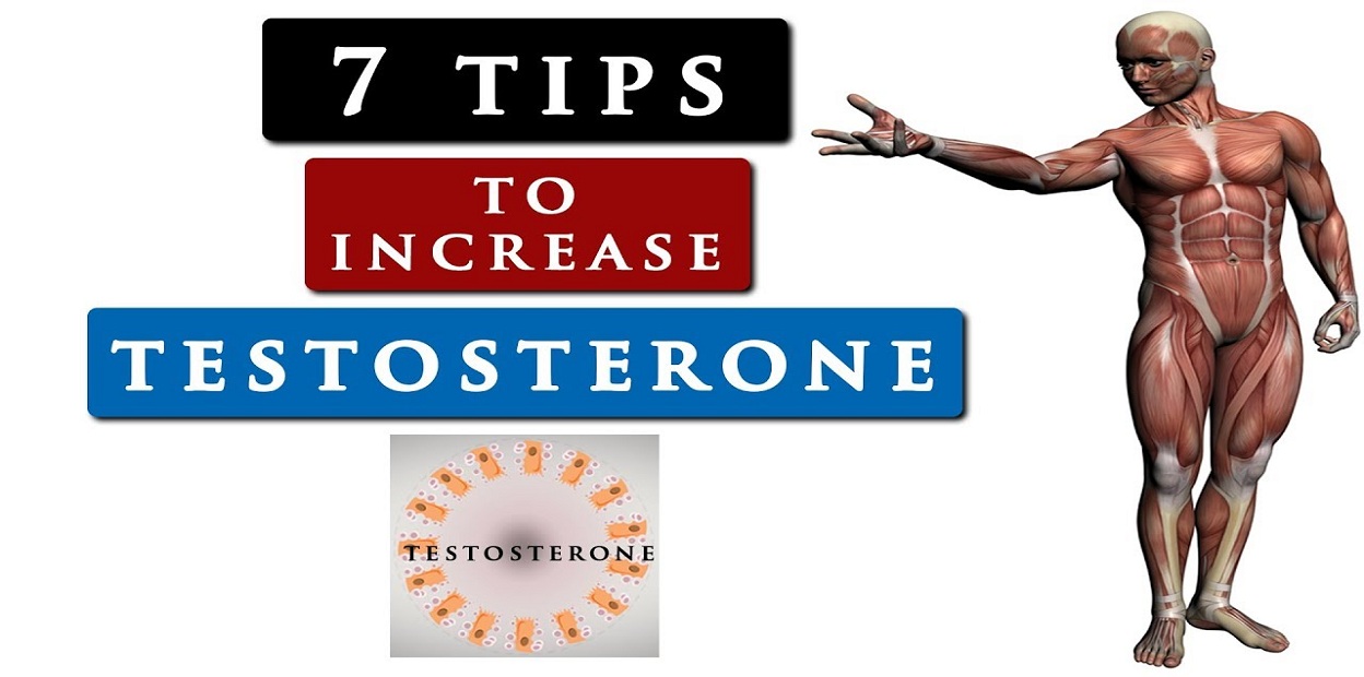 Boost Testosterone Levels