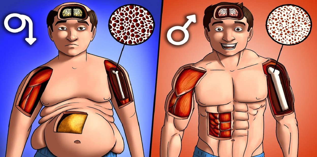 Increase Testosterone Naturally
